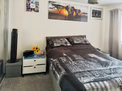 Picture 5